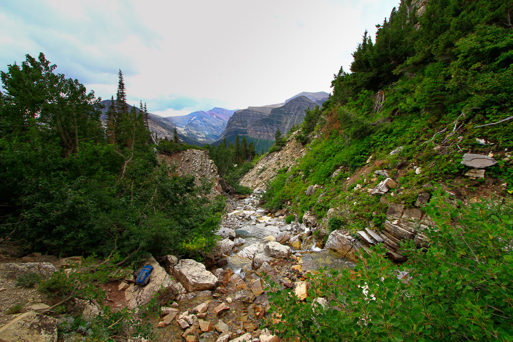 View of the valley - Apikuni Falls Trail
