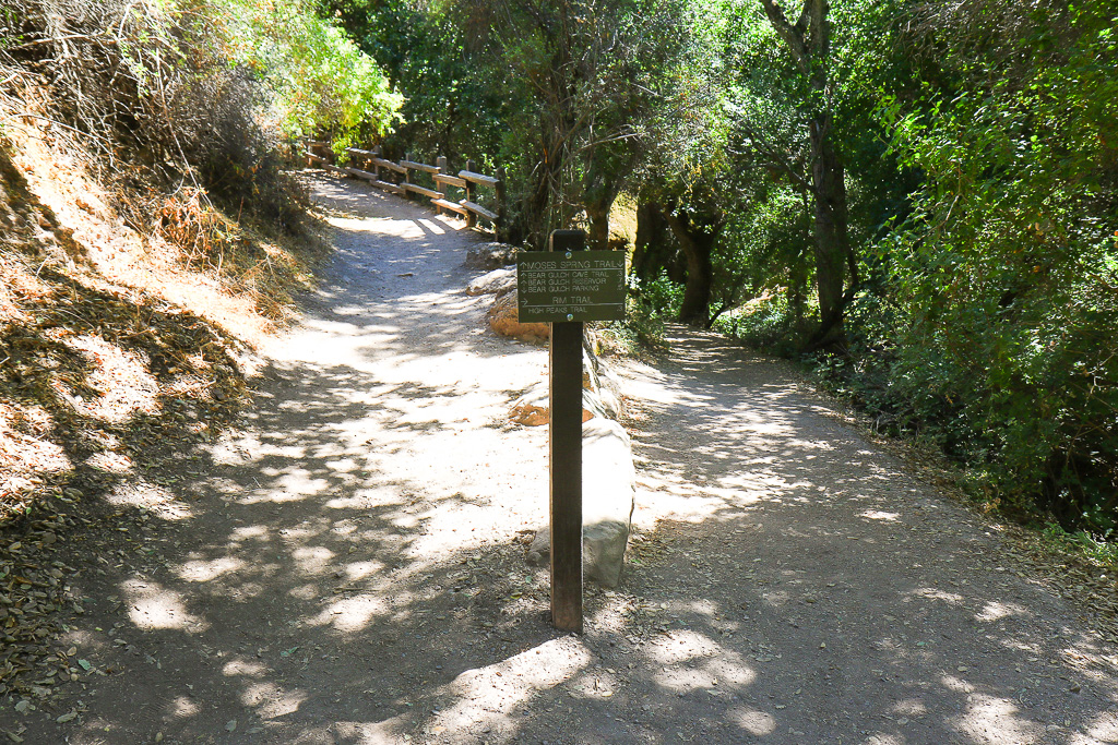 Trail intersection - Moses Spring Trail to Bear Gulch Caves to Rim Trail