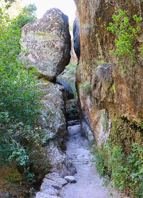 Narrow slot - Moses Spring Trail to Bear Gulch Caves to Rim Trail