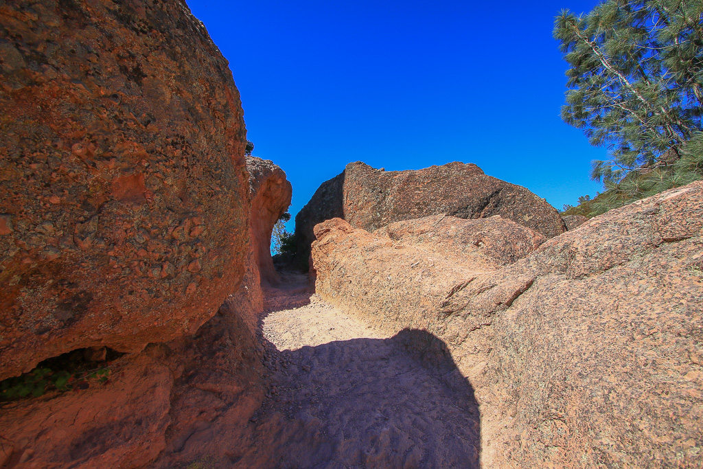 Rhyolite - Moses Spring Trail to Bear Gulch Caves to Rim Trail