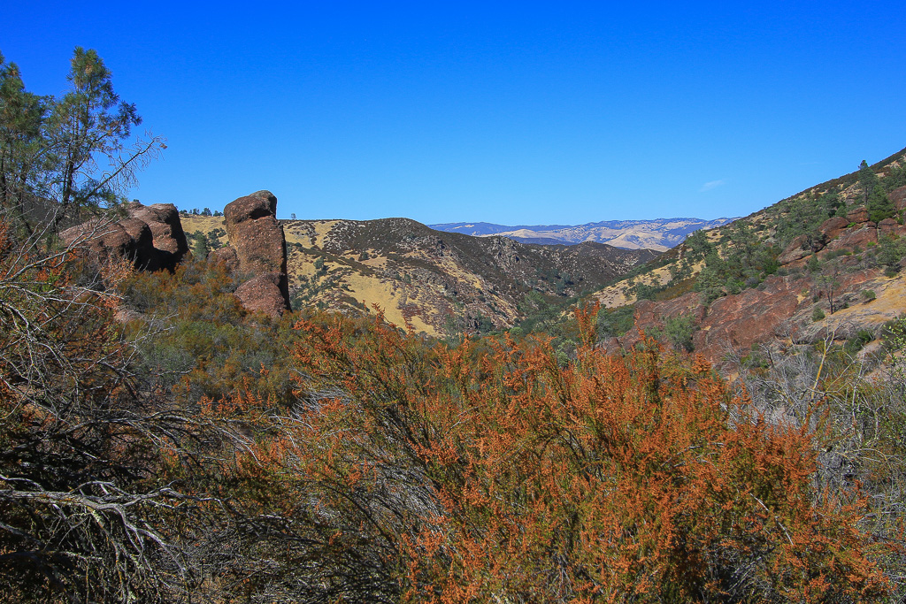 Teaching Rock and Bear Gulch Canyon - Moses Spring Trail to Bear Gulch Caves to Rim Trail