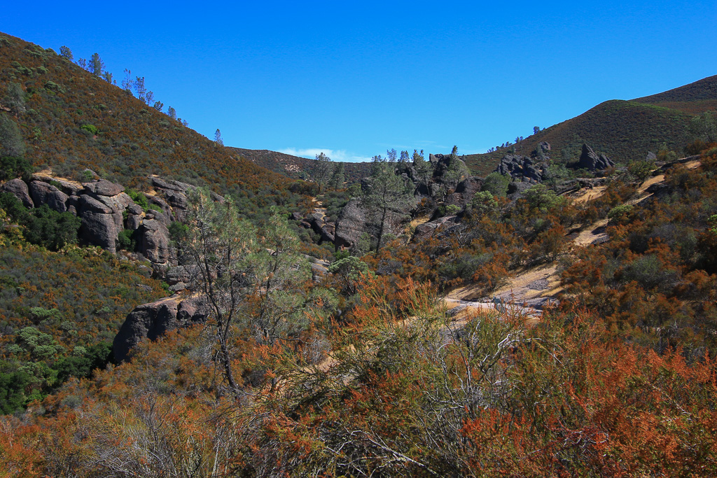 Rock pinnacles - Moses Spring Trail to Bear Gulch Caves to Rim Trail