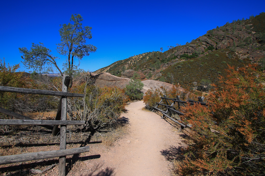 Spur trail to Teaching Rock - Moses Spring Trail to Bear Gulch Caves to Rim Trail