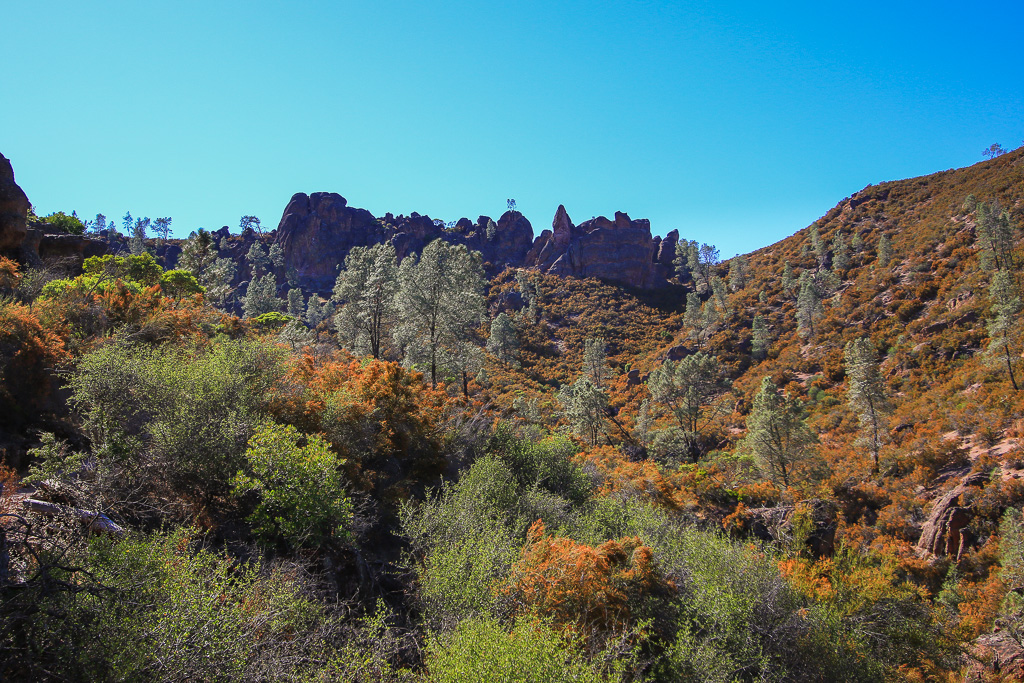 High Peaks - Moses Spring Trail to Bear Gulch Caves to Rim Trail