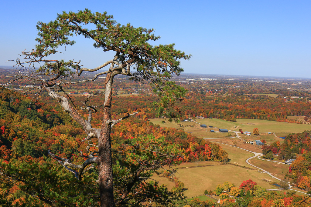 View from Indian Fort Lookout - Berea Pinnacles