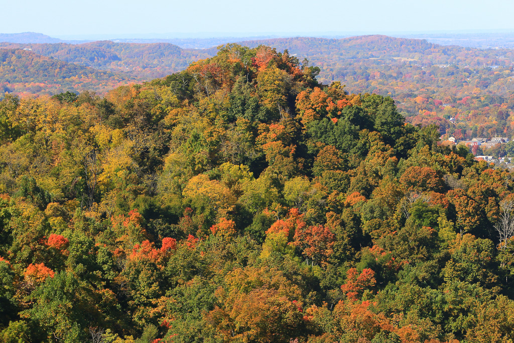 West Pinnacle from Indian FortView from Indian Fort Lookout - Berea Pinnacles