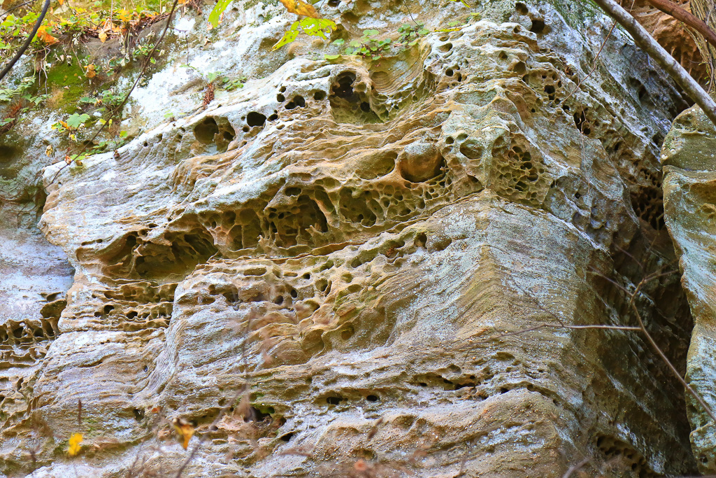 Honeycomb rock at Devil's Kitchen/Rock House - Berea Pinnacles