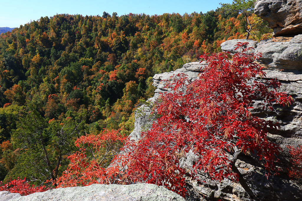 Eagle's Nest - Berea Pinnacles