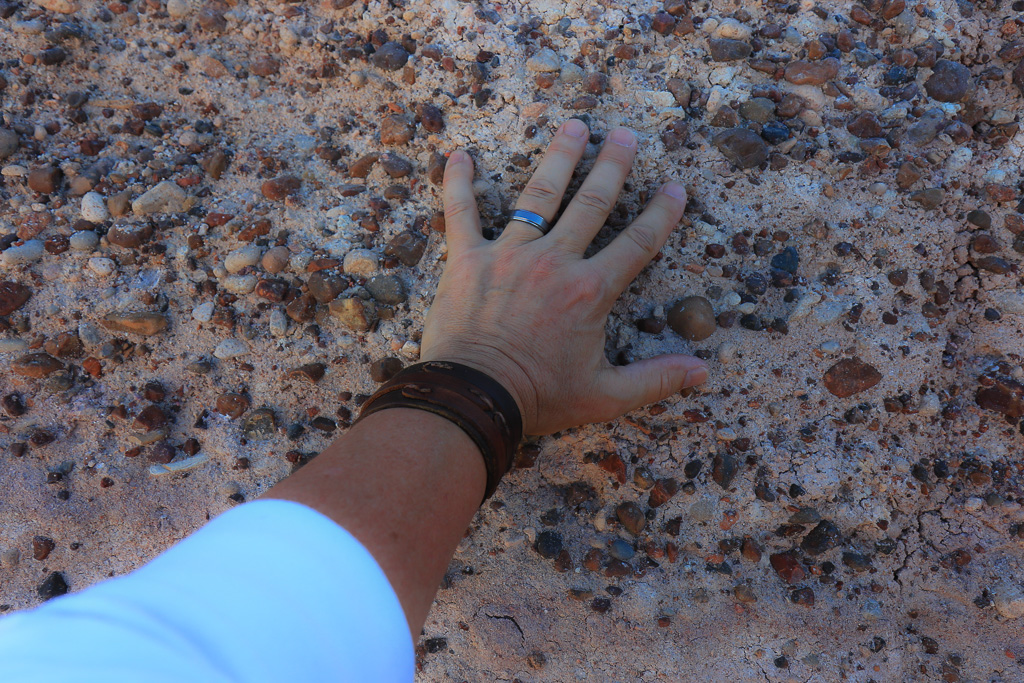 Natural conglomerate - Blue Mesa Trail