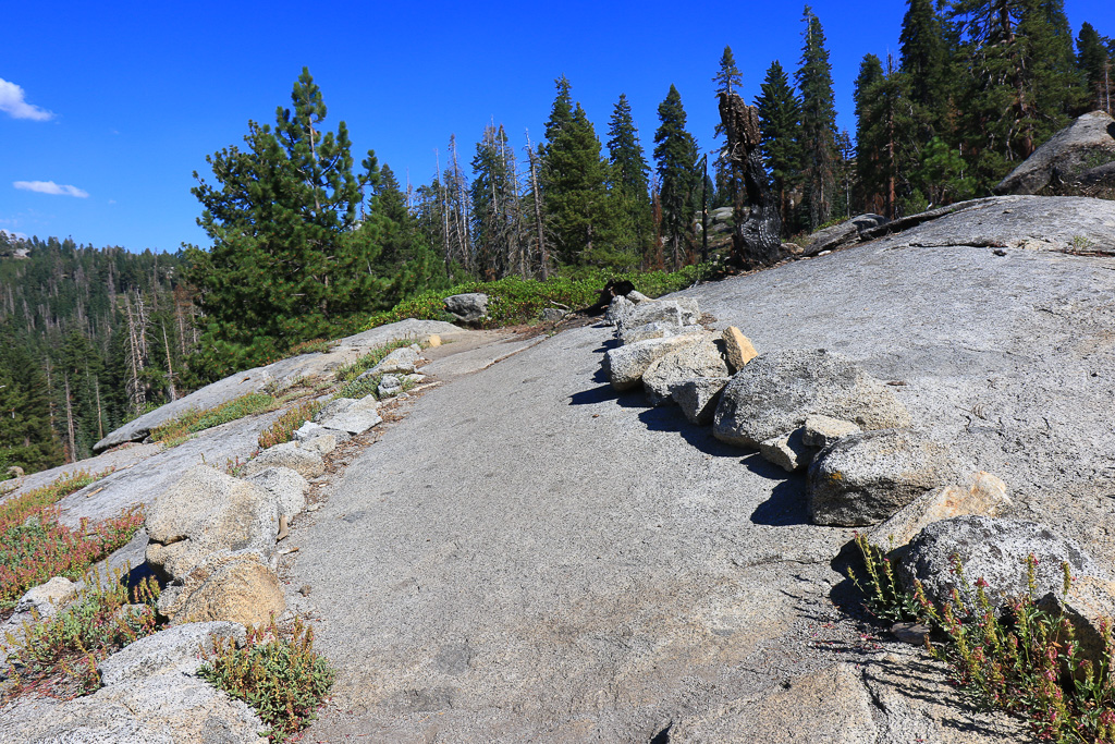 Granite path - Buena Vista Peak