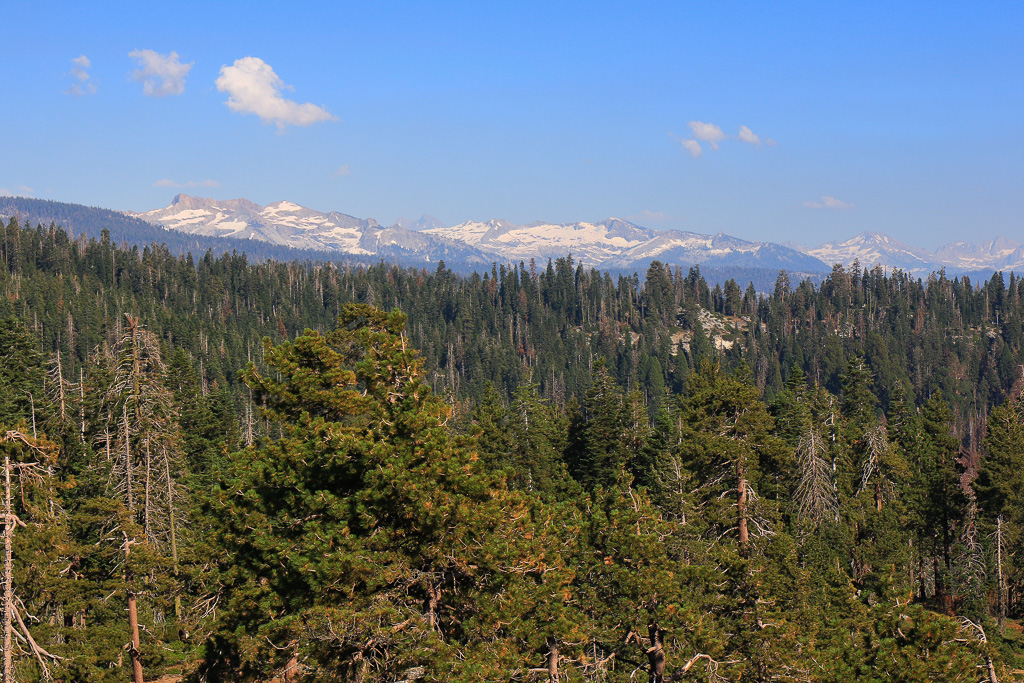 Sierra Nevadas - Buena Vista Peak