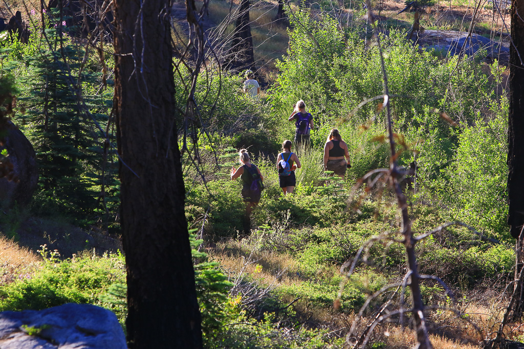 The crew navigating through a thicket - Buena Vista Peak