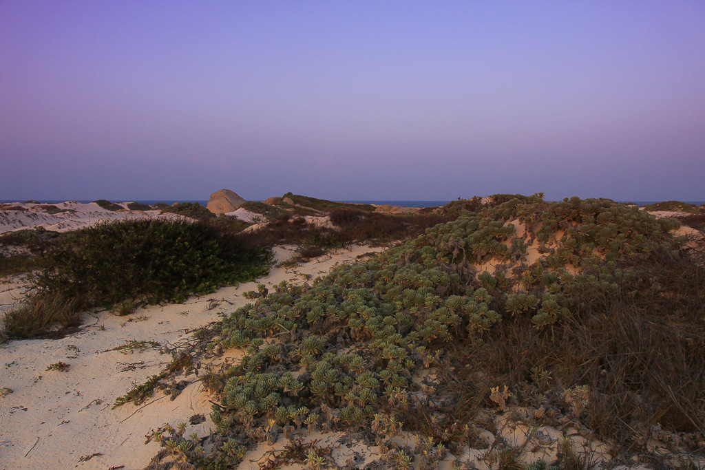 Sunset over the dunes - California Dunes