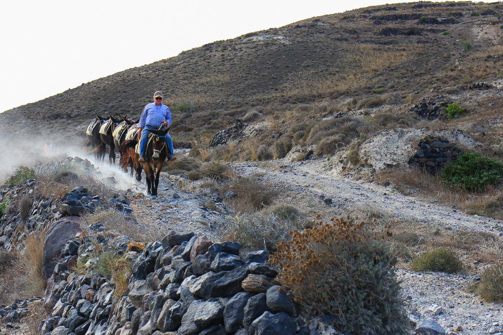 Mules - Fira to Oia