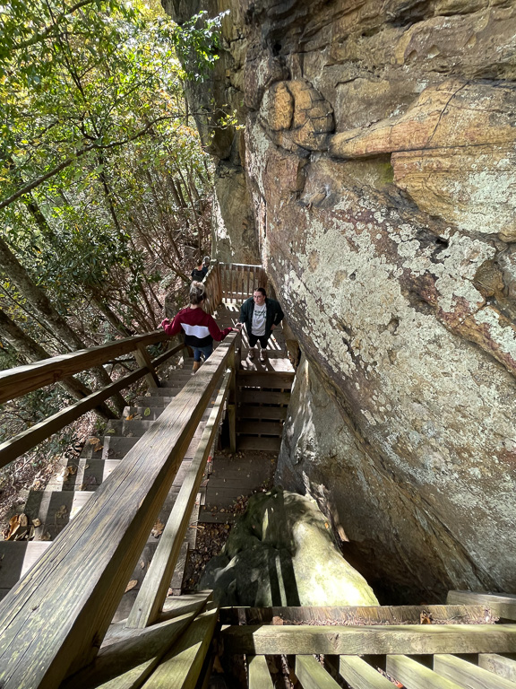 Heading down the steps - Grandview Rim Trail