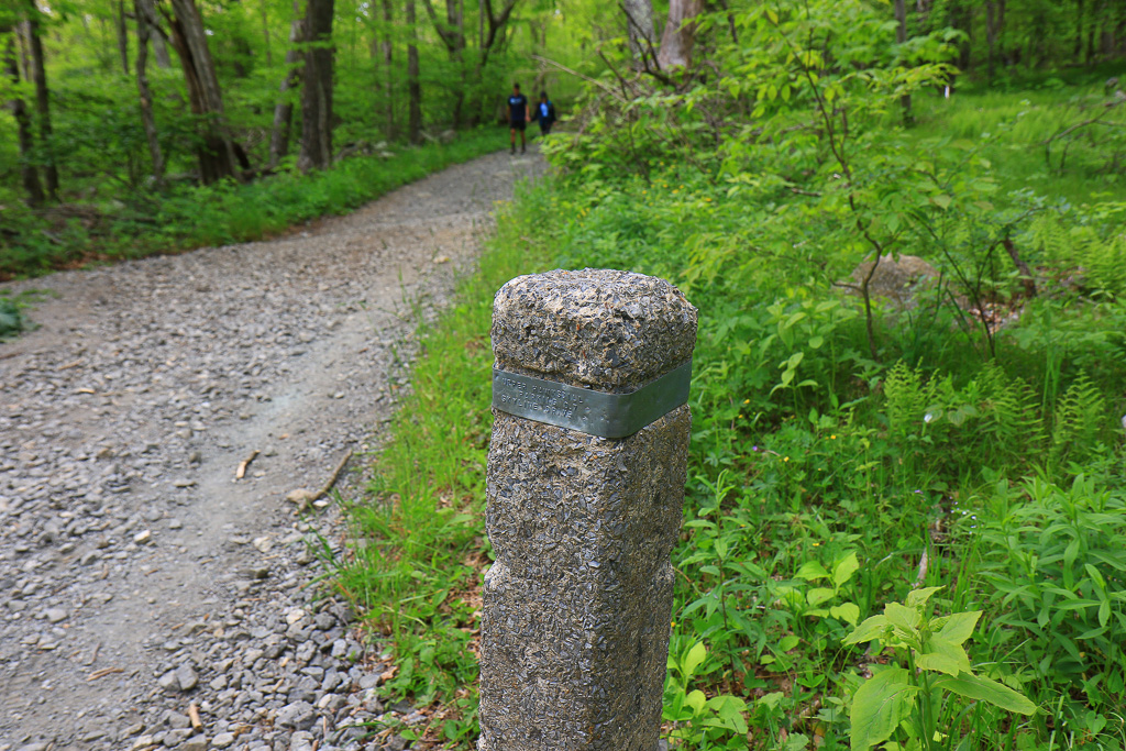 Trail marker - Upper Hawksbill Trail