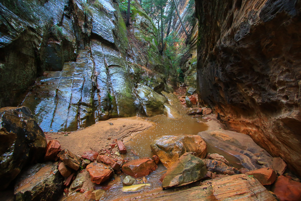 Raindrops - Hidden Canyon Trail