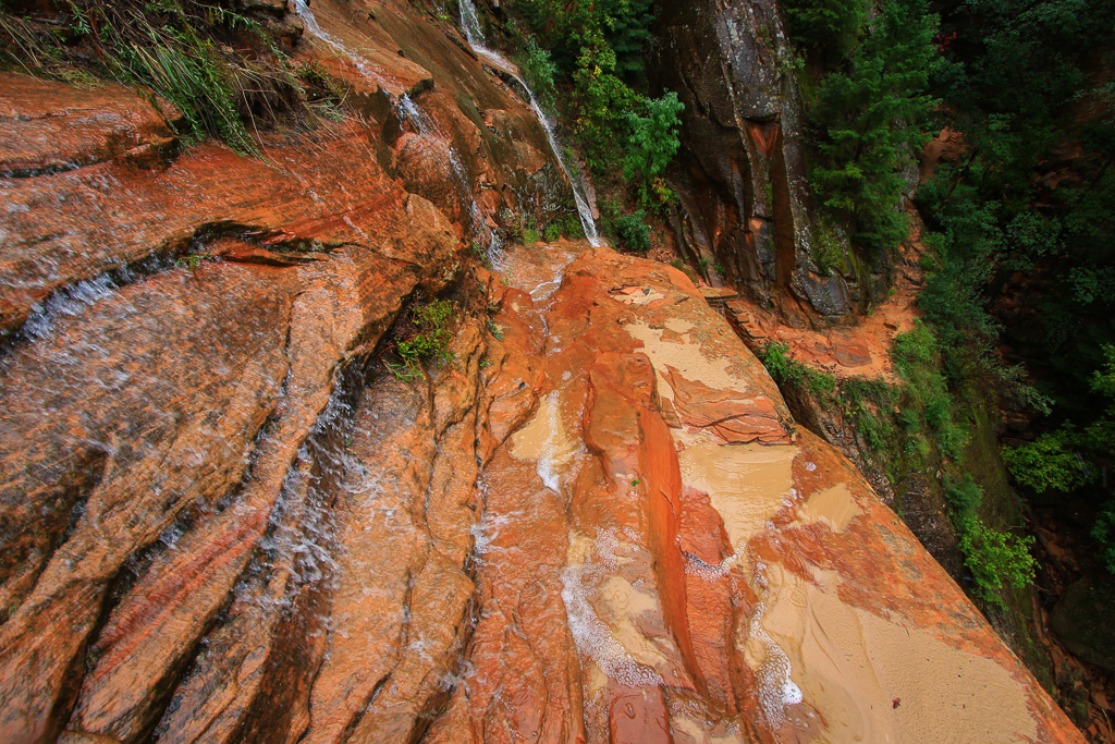 Rain soaked path - Hidden Canyon Trail