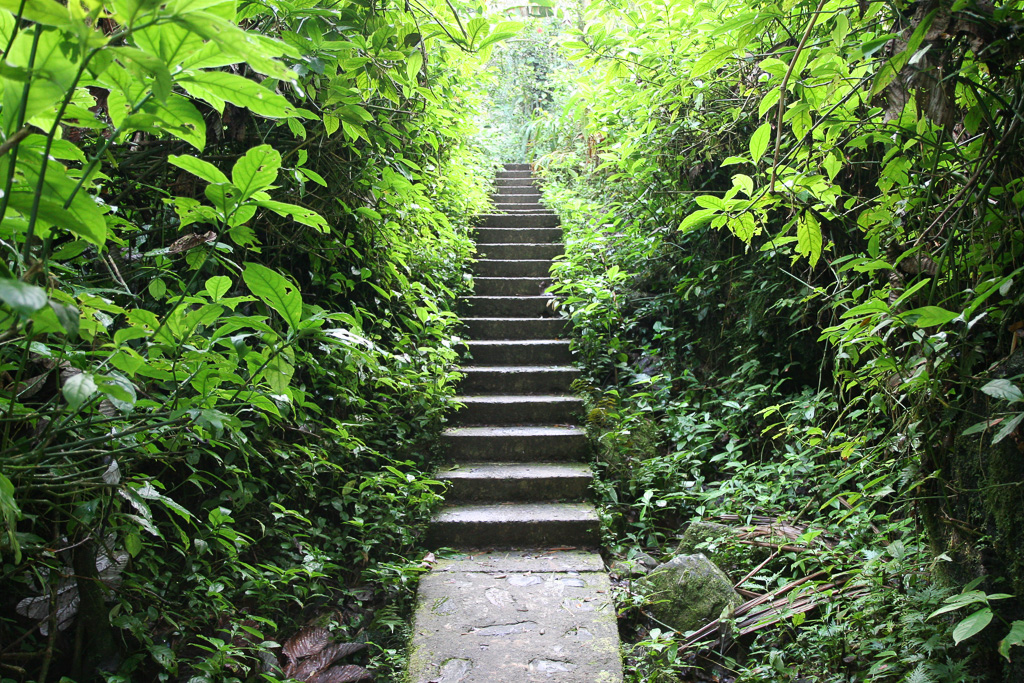 Trail steps - La Mina Falls Trail