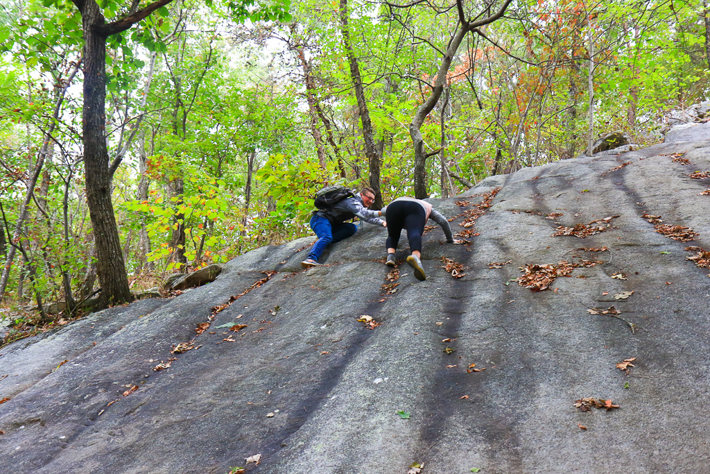 Jinx and Sookie climbing a rock slab - McAfee Knob