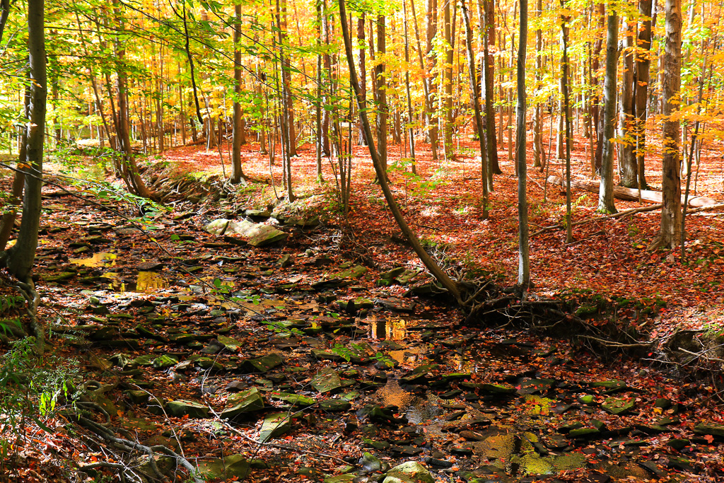 Buttermilk Falls Creek and autumn color - North Chagrin Loop