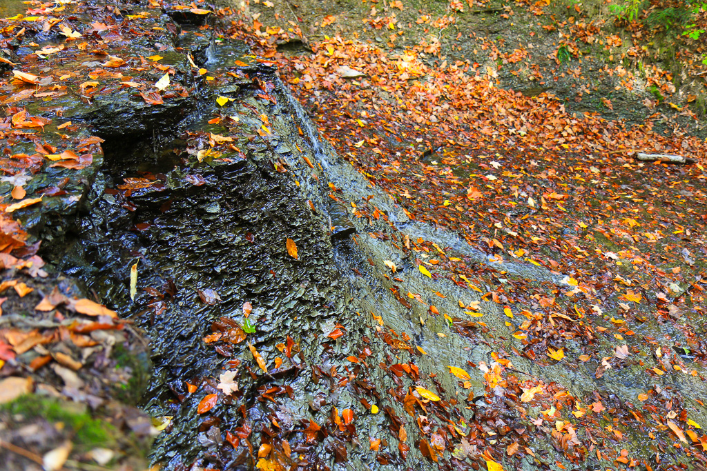 Ravine cascade over shale - North Chagrin Loop