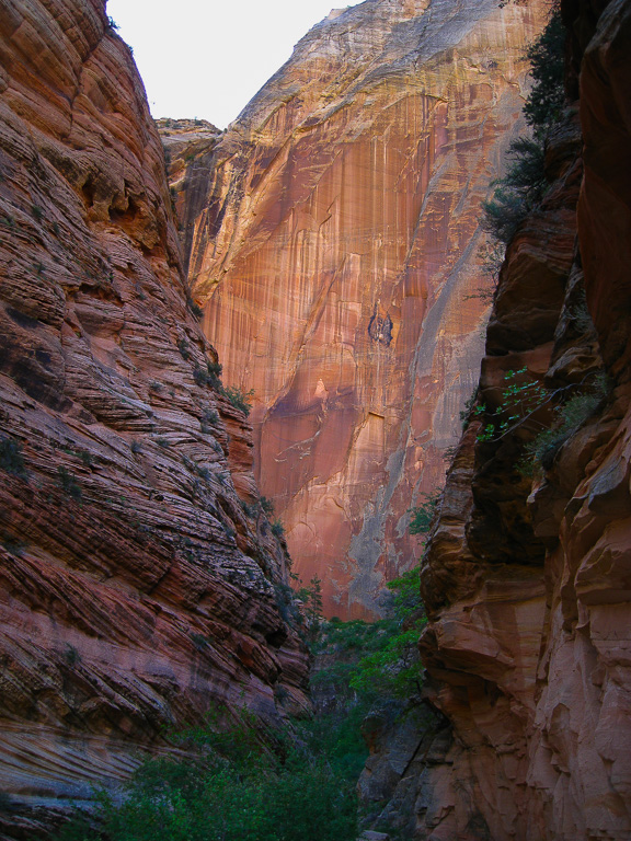 The walls narrowing at Echo Canyon - Observation Point