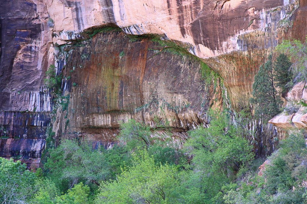 View of Weeping Rock from the trail - Observation Point