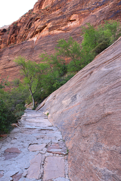 Trail carved out of the Zion wall - Observation Point