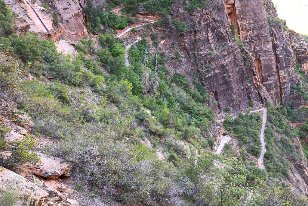 The switchbacks and the Hidden Canyon junction(leading up from the center of the frame) - Observation Point