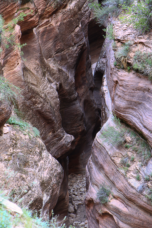 Convoluted walls of Echo Canyon - Observation Point
