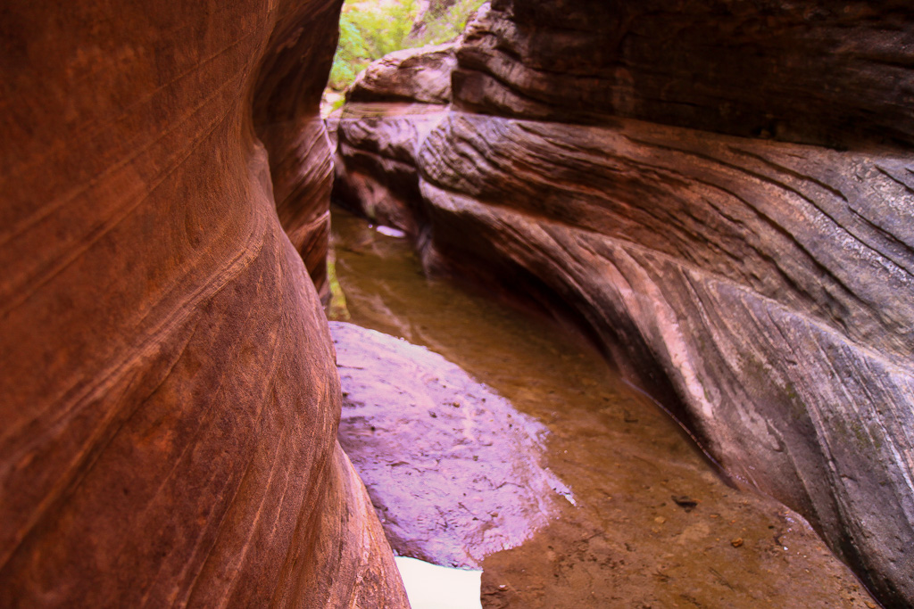 Water in the slot canyon - Observation Point