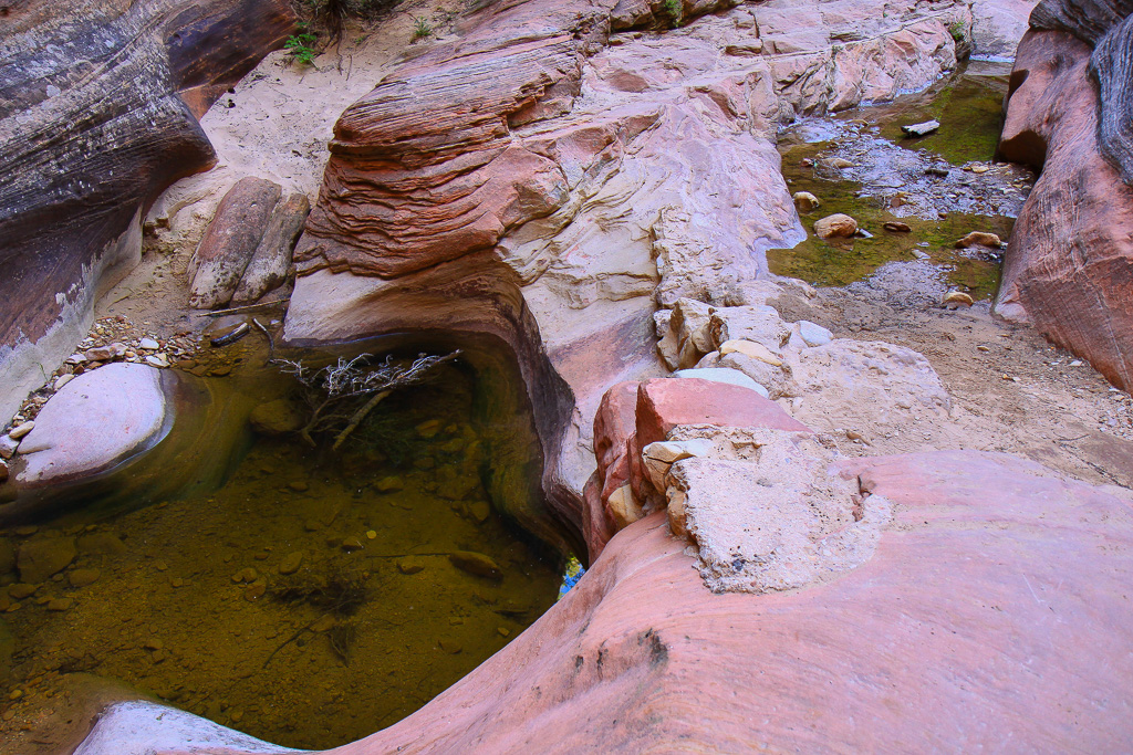 Two pools in Echo Canyon - Observation Point