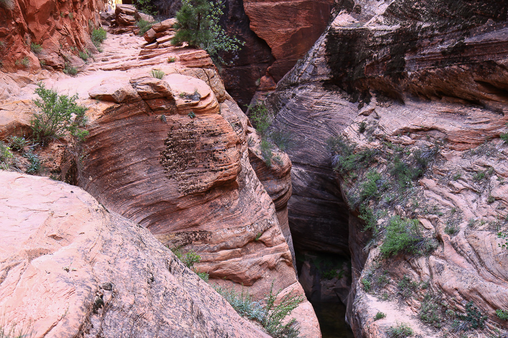 A cleft in Echo Canyon - Observation Point
