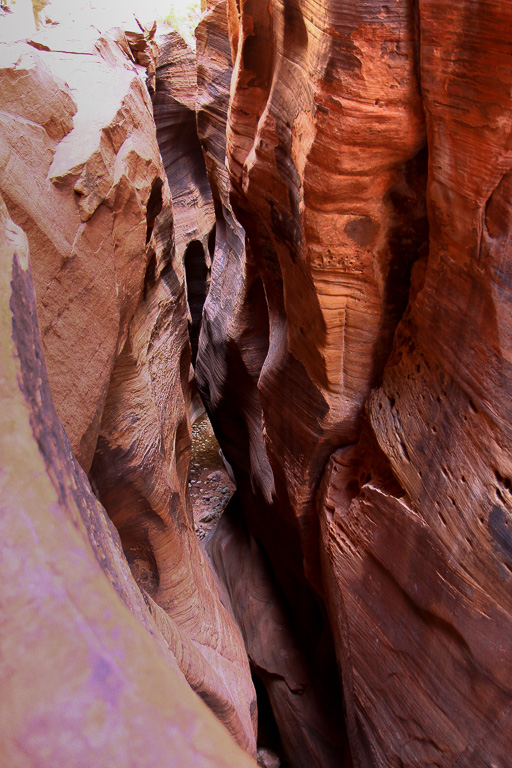 Colorful convoluted walls of Echo Canyon - Observation Point
