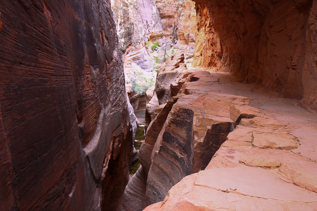 Trail through Echo Canyon - Observation Point