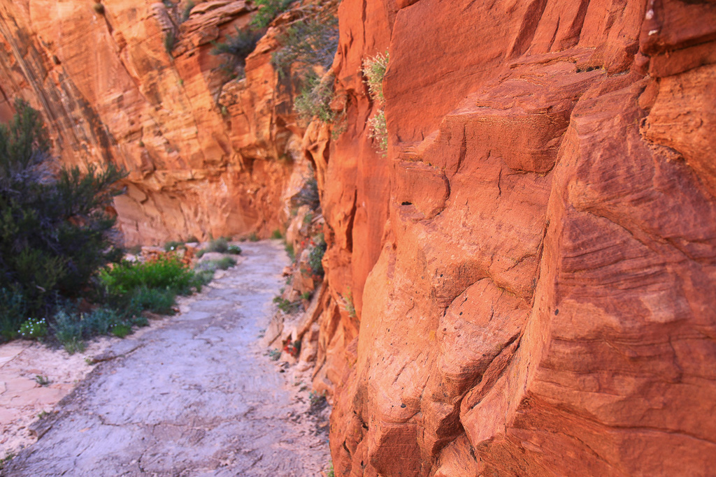 Amazing colors in Echo Canyon - Observation Point