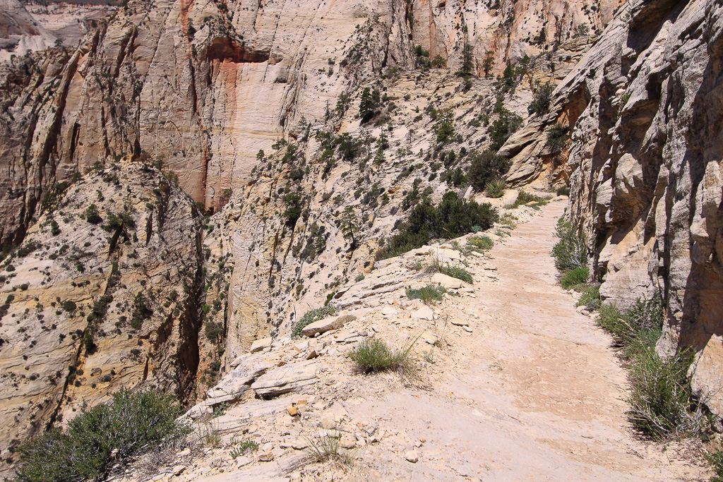 Cliffside trail - Observation Point