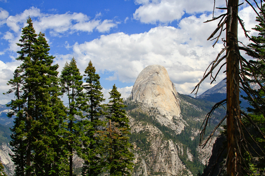 Viewpoint - Panorama Trail 2013