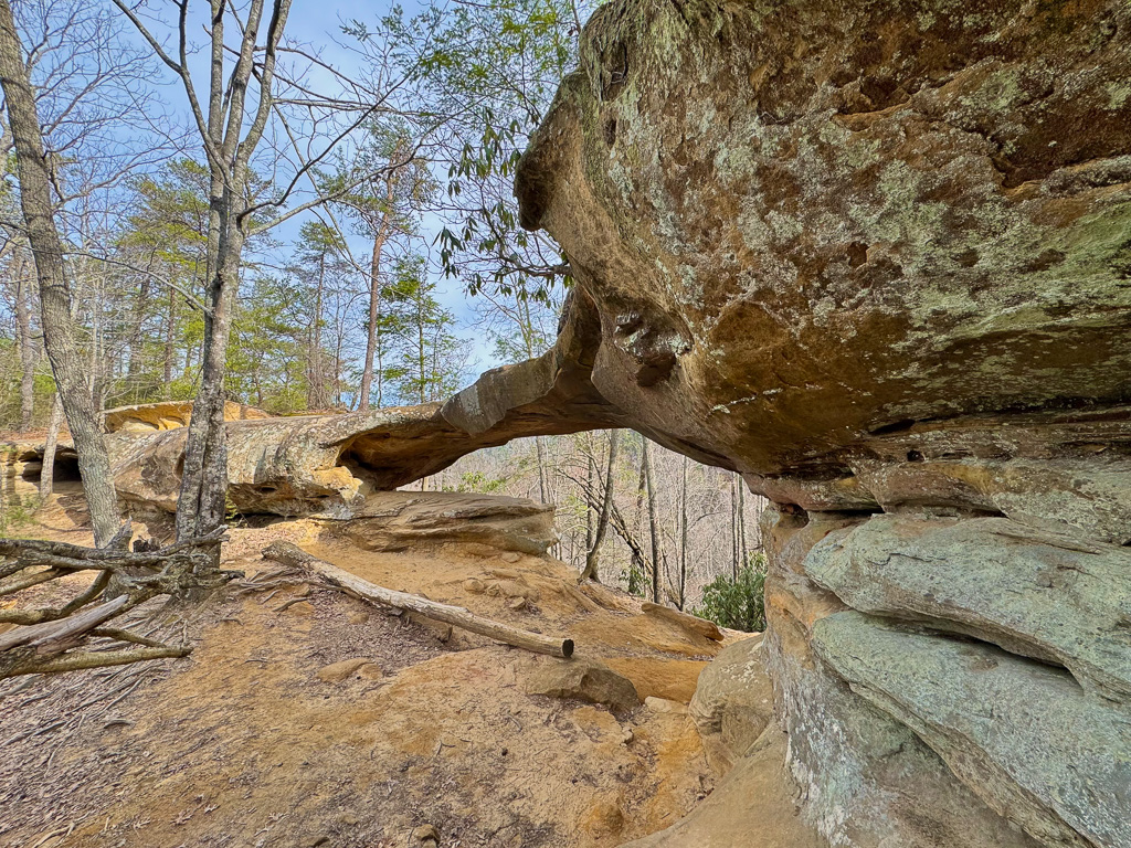 Princess Arch - Princess Arch 2025