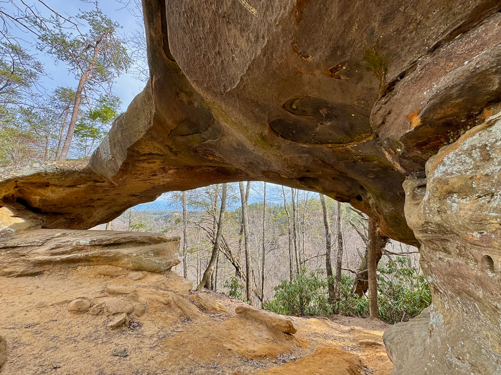 Underside of the arch - Princess Arch 2025