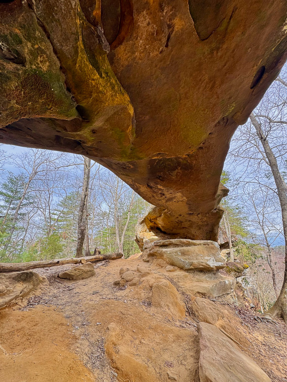 Under the arch - Princess Arch 2025