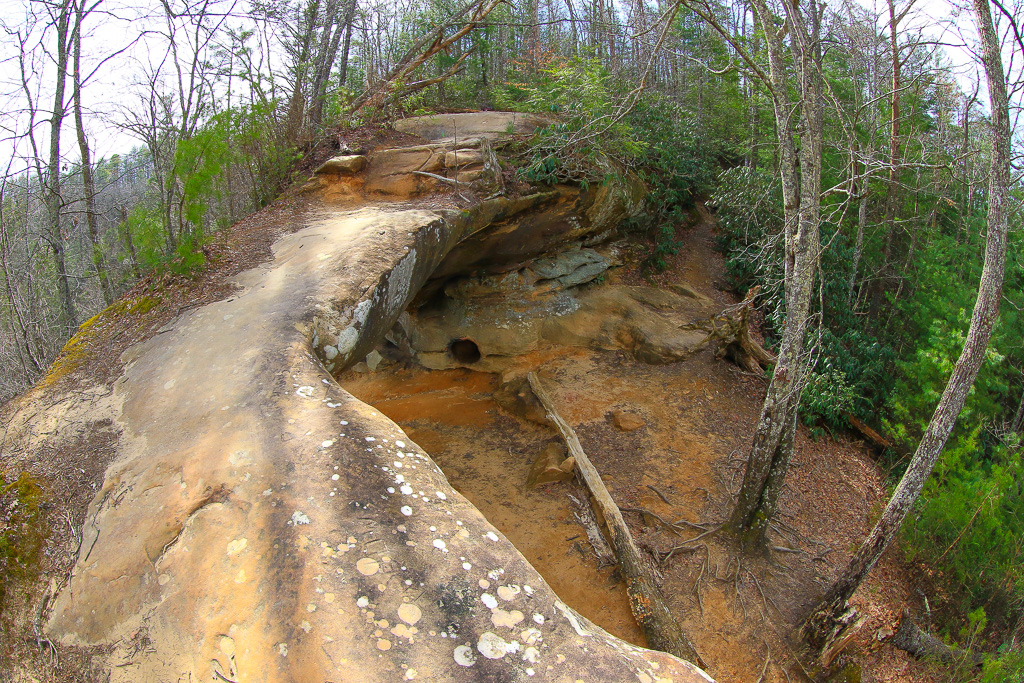 Looking back at the arch from above - Princess Arch 2025