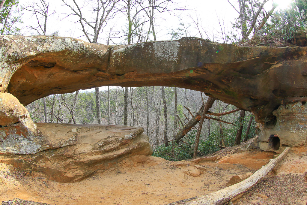 Arch span - Princess Arch 2025