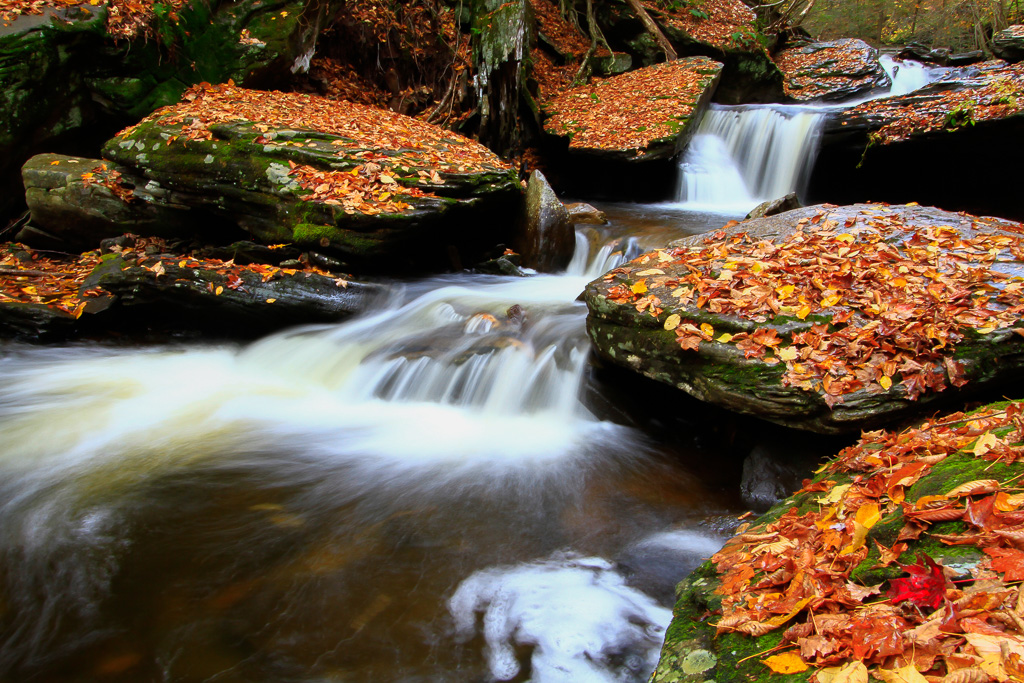 Leaves and cascade - Ricketts Glen State Park