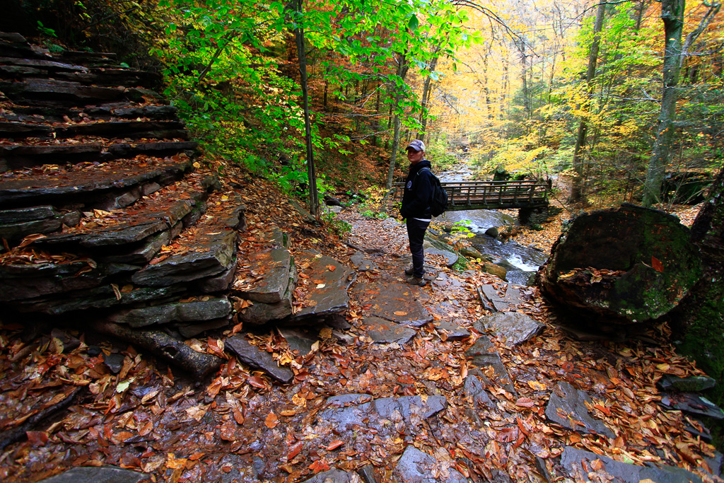 Sook on the trail by B. Reynolds Falls - Ricketts Glen State Park
