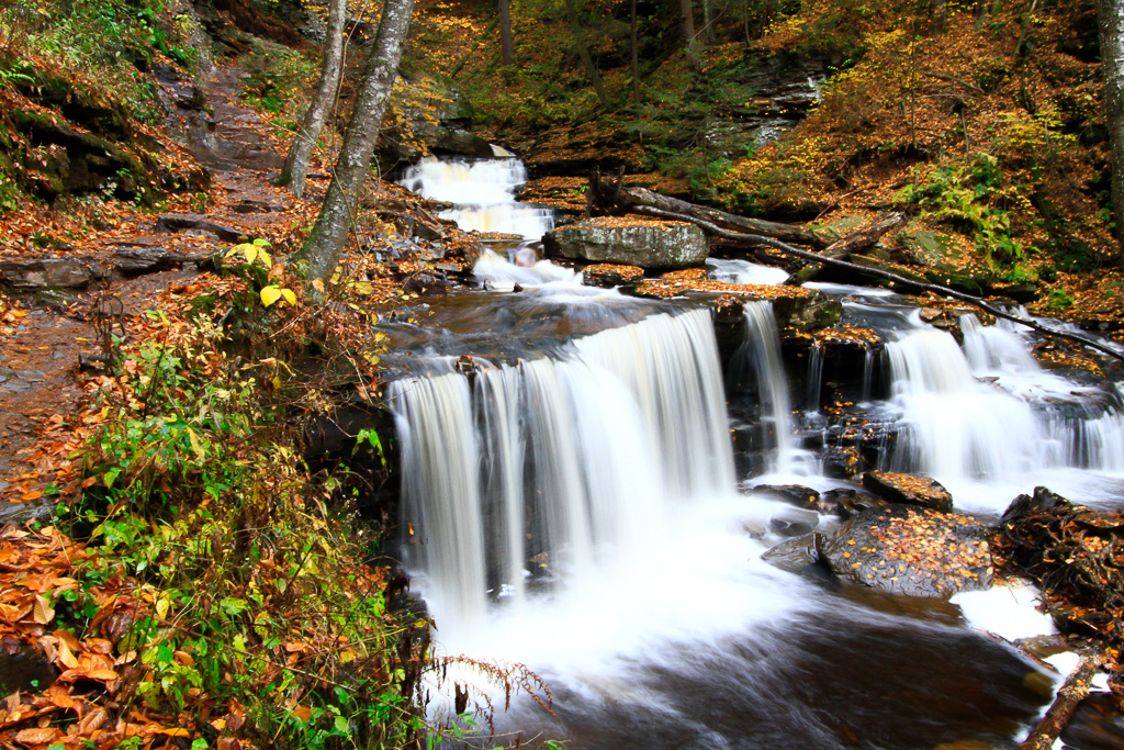 Delaware Falls - Ricketts Glen State Park