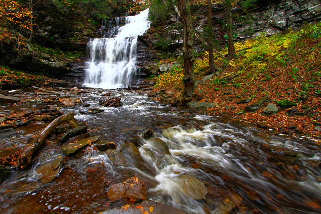 Ganoga Falls and creek - Ricketts Glen State Park