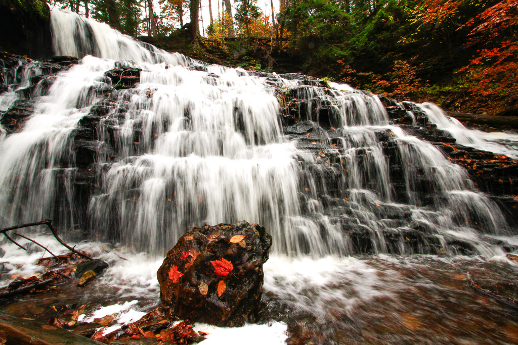 Mohawk Falls - Ricketts Glen State Park