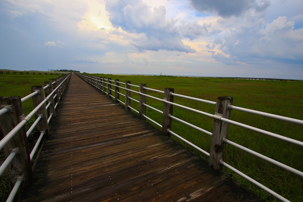 Boardwalk through tidal marsh - Silver Sands